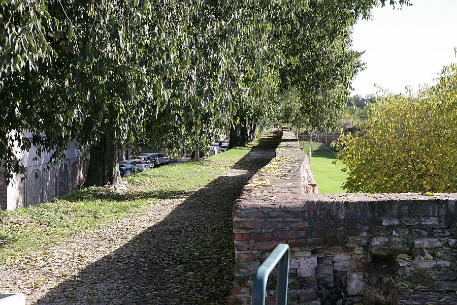 Img 164.jpg